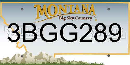 3BGG289 Montana License Plate