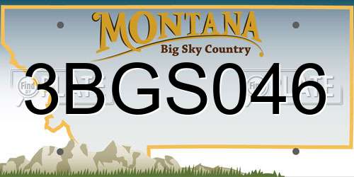 3BGS046 Montana License Plate