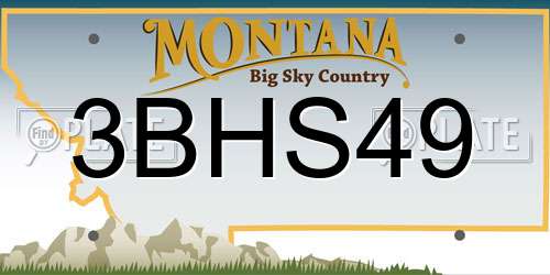 3BHS49 Montana License Plate