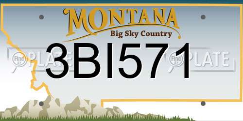 3BI571 Montana License Plate