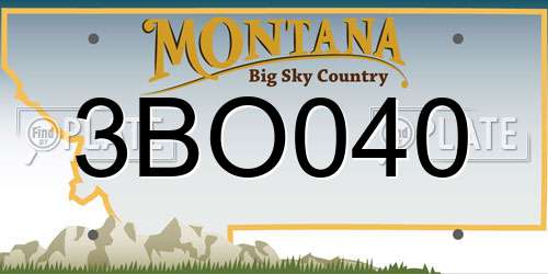 3BO040 Montana License Plate