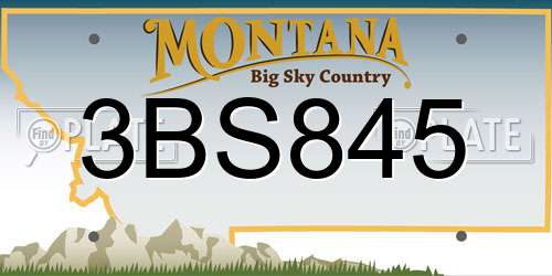 3BS845 Montana License Plate
