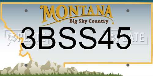 3BSS45 Montana License Plate
