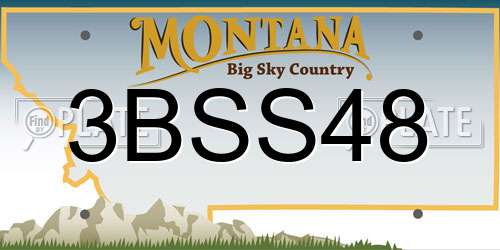 3BSS48 Montana License Plate