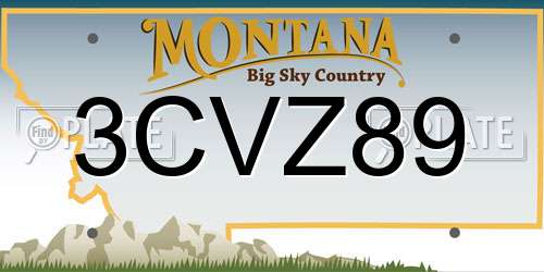 3CVZ89 Montana License Plate