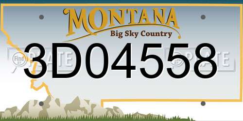 3D04558 Montana License Plate