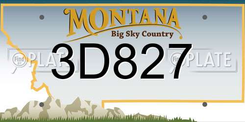 3D827 Montana License Plate