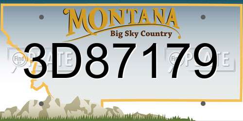 3D87179 Montana License Plate