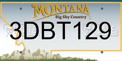 3DBT129 Montana License Plate