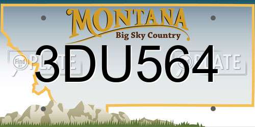 3DU564 Montana License Plate