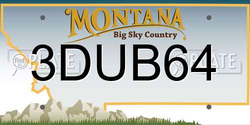 3DUB64 Montana License Plate