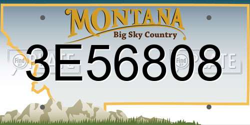3E56808 Montana License Plate
