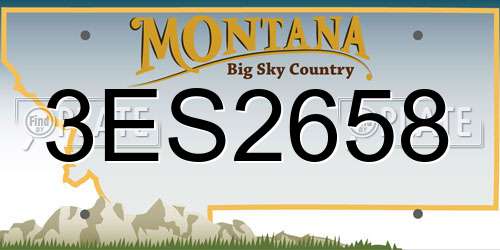 3ES2658 Montana License Plate