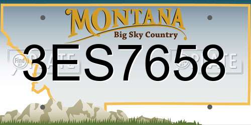 3ES7658 Montana License Plate