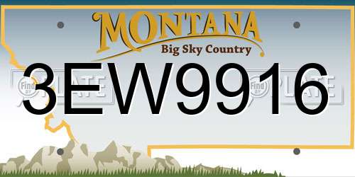 3EW9916 Montana License Plate