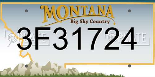 3F31724 Montana License Plate