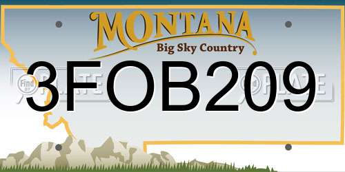 3FOB209 Montana License Plate