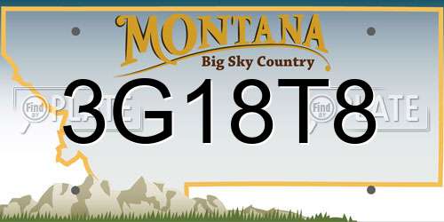 3G18T8 Montana License Plate