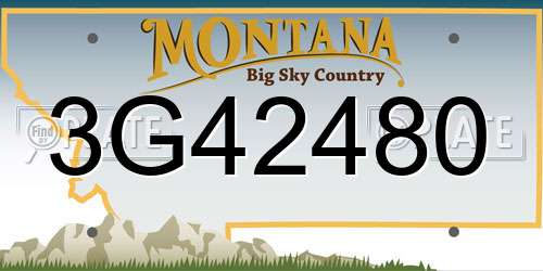 3G42480 Montana License Plate