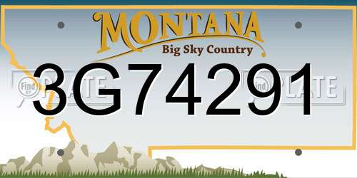 3G74291 Montana License Plate