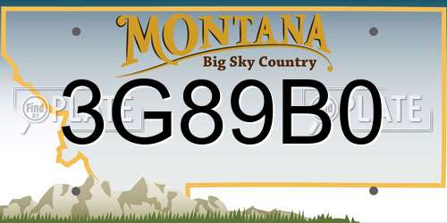 3G89B0 Montana License Plate