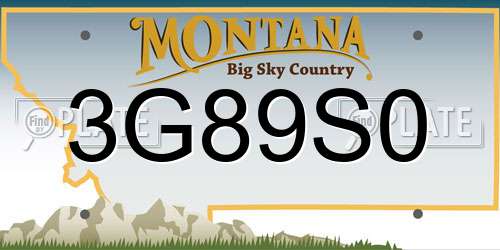 3G89S0 Montana License Plate
