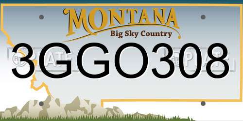 3GGO308 Montana License Plate