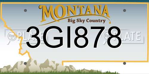 3GI878 Montana License Plate