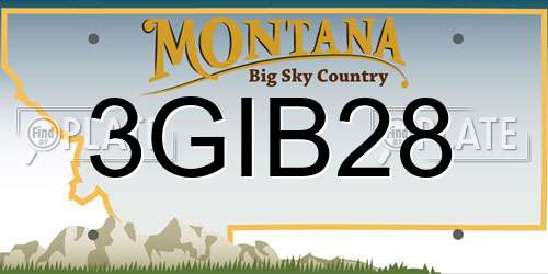 3GIB28 Montana License Plate