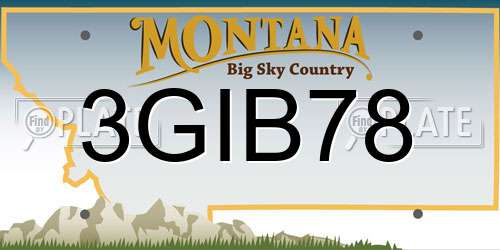 3GIB78 Montana License Plate