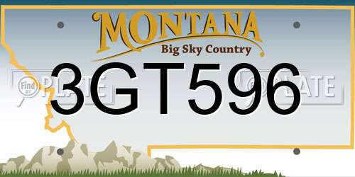 3GT596 Montana License Plate