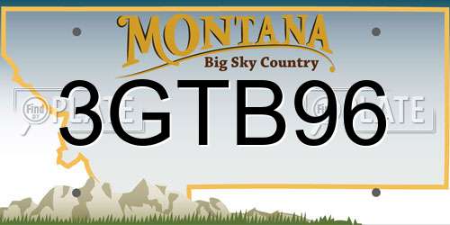 3GTB96 Montana License Plate
