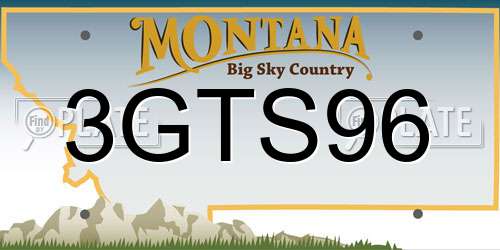 3GTS96 Montana License Plate