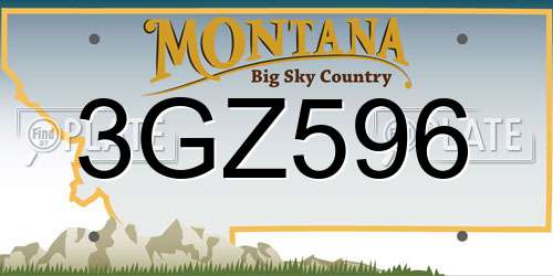 3GZ596 Montana License Plate