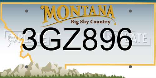 3GZ896 Montana License Plate