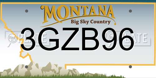 3GZB96 Montana License Plate