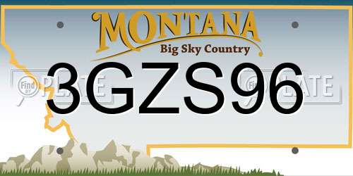 3GZS96 Montana License Plate