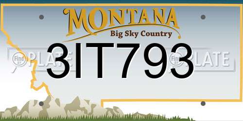 3IT793 Montana License Plate