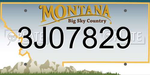 3J07829 Montana License Plate