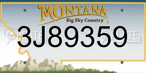 3J89359 Montana License Plate