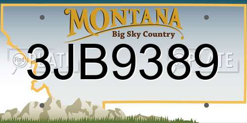 3JB9389 Montana License Plate