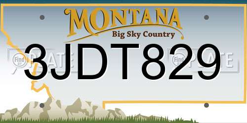 3JDT829 Montana License Plate
