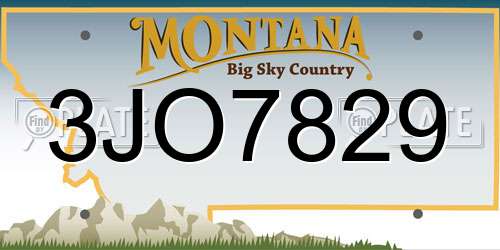 3JO7829 Montana License Plate