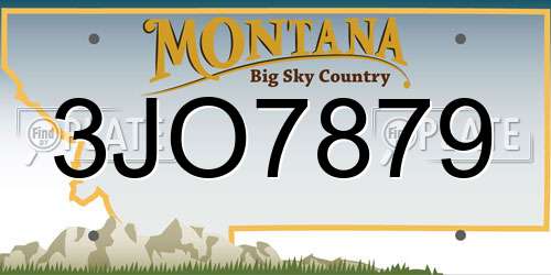 3JO7879 Montana License Plate