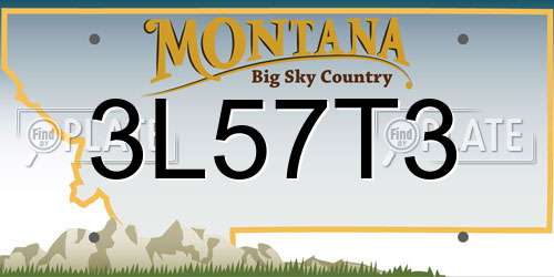 3L57T3 Montana License Plate