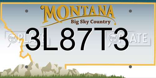 3L87T3 Montana License Plate