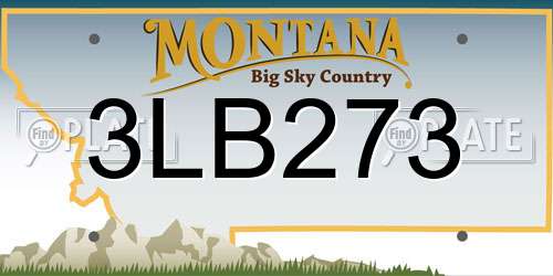 3LB273 Montana License Plate
