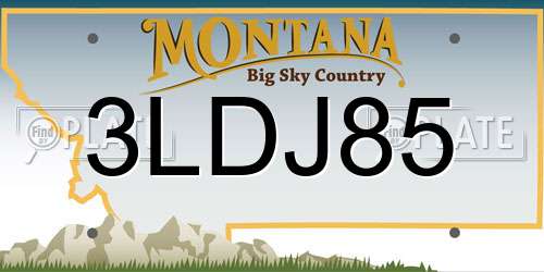 3LDJ85 Montana License Plate