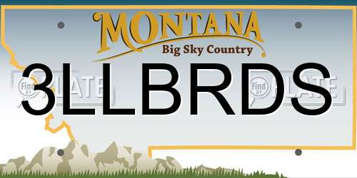 3LLBRDS Montana License Plate