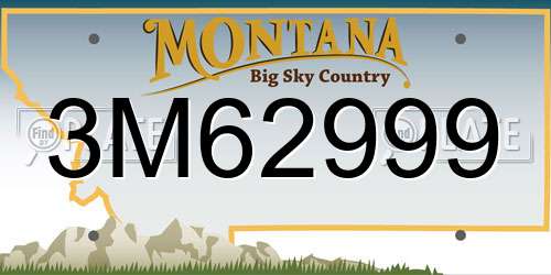 3M62999 Montana License Plate